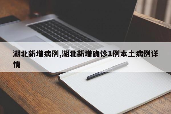 湖北新增病例,湖北新增确诊1例本土病例详情