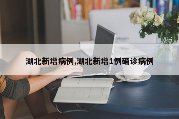 湖北新增病例,湖北新增1例确诊病例